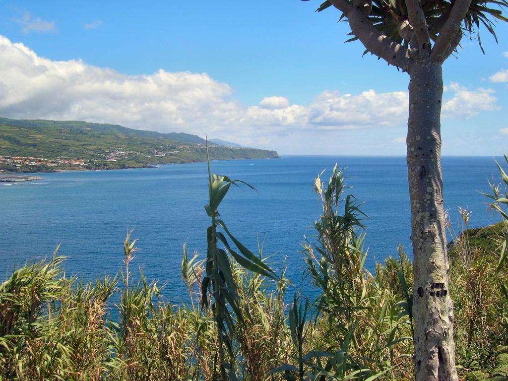 Вилла Casa Quinta Do Marques Понта-Делгада Экстерьер фото